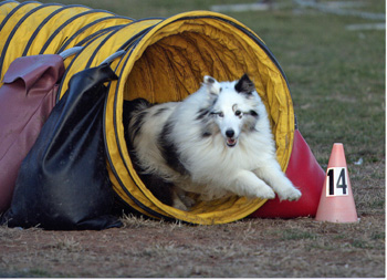 Bryce bouncing out of the tunnel