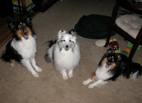 Bryce and his sisters on his 10th birthday