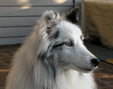 Bryce - December, 08