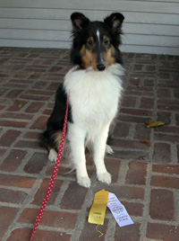 Baby's first ribbons!