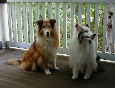 Sally and Bryce - 2004