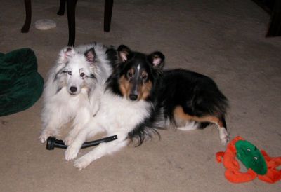 Bryce and Jayda sharing