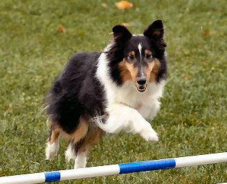 jaydajumping jaydajumping