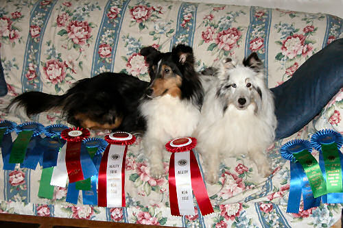 Jayda and Bryce - AKC 05/2009 Jayda and Bryce - AKC 05/2009