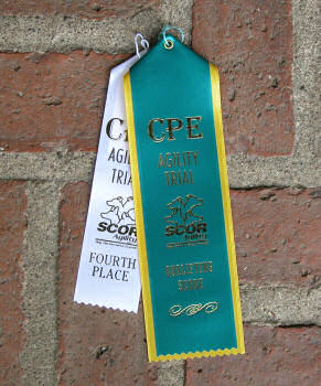 bryce-insurance bryce-insurance