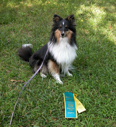 ravensfirstq Baby's First Q