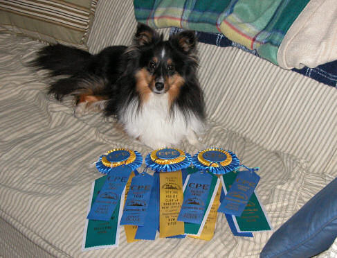 Raven - CL1 Raven - CL1