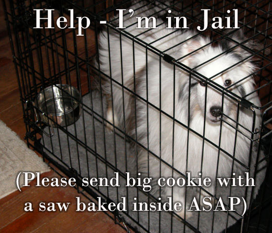 Crate Rest Crate Rest